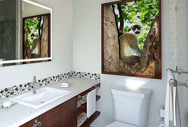 Caribbean Village Premium - PR